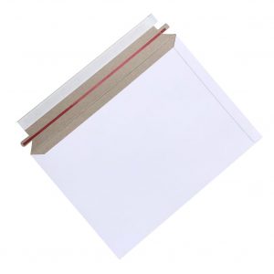 cardboard envelope mailer