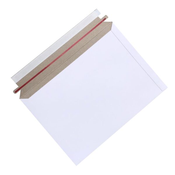 cardboard envelope mailer